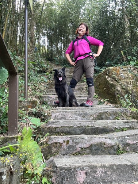 嘉雲二尖山、大尖山2734872