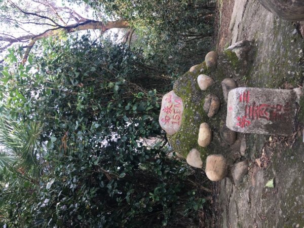 五酒桶山、南崁山2693353