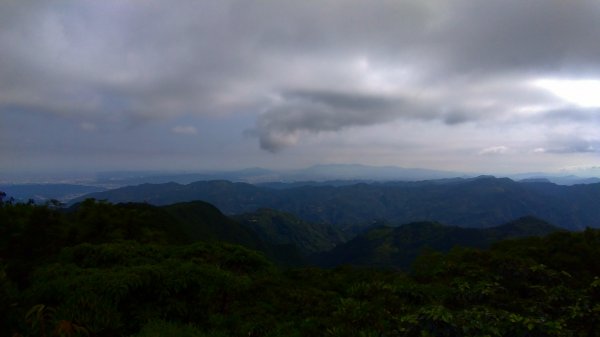 東眼山及親子峰步道592083