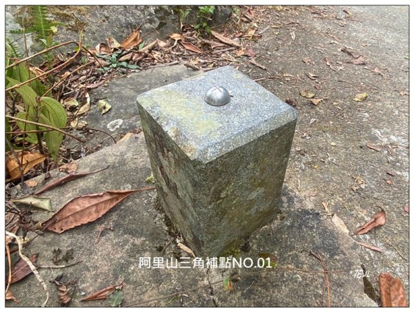 大凍山、頂湖步道 O型ㄧ圈2984156