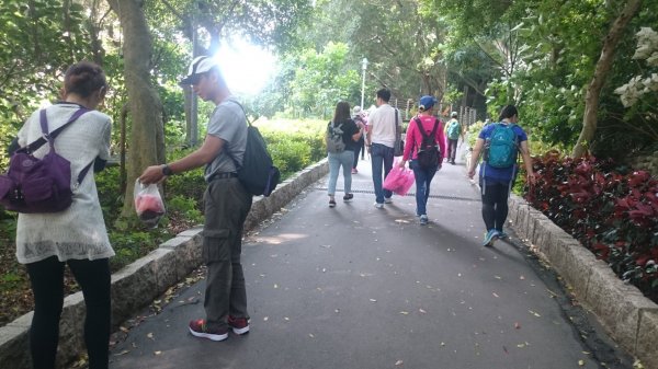 20181006 健筆淨山牡丹心448843