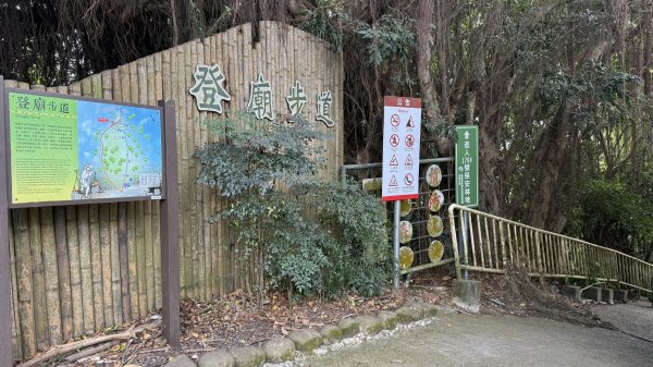 20260102松柏嶺登廟步道+松柏坑山、田園茶香賞茶步道+坑內坑森林步道2982903