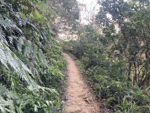 石門山登山步道2396640