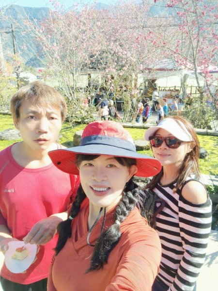 南投草坪頭2714113