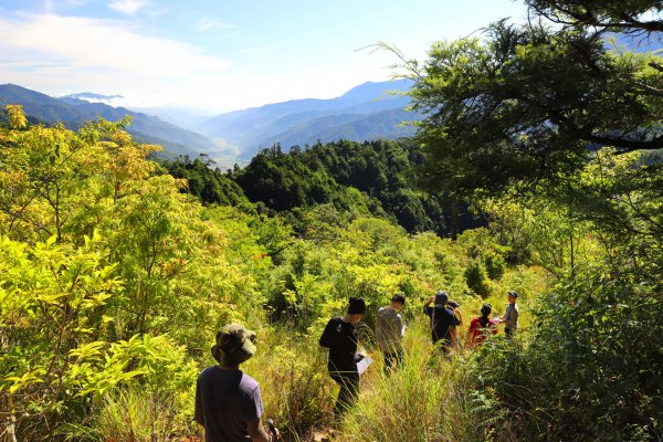 有百岳景色的中級山 羅馬縱走1034589