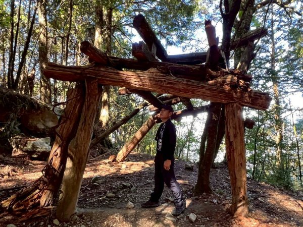 🌈11/15（六）松鶴上八仙山下森林遊樂區✨FB：熊熊趴爬走🌈2937660