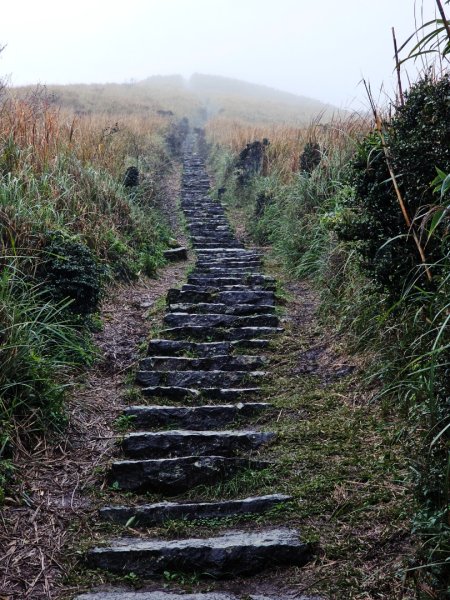 2025臺北大縱走第二段：二子坪至小油坑2973504