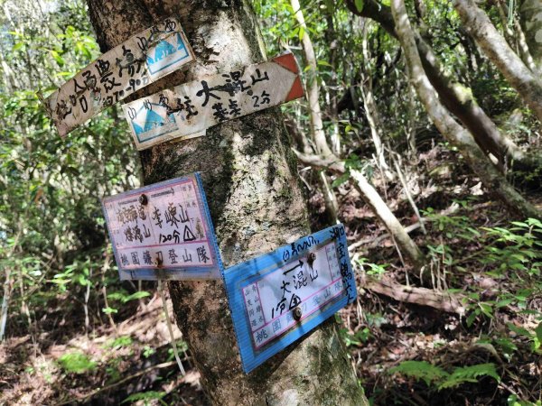 大混李棟山2816315