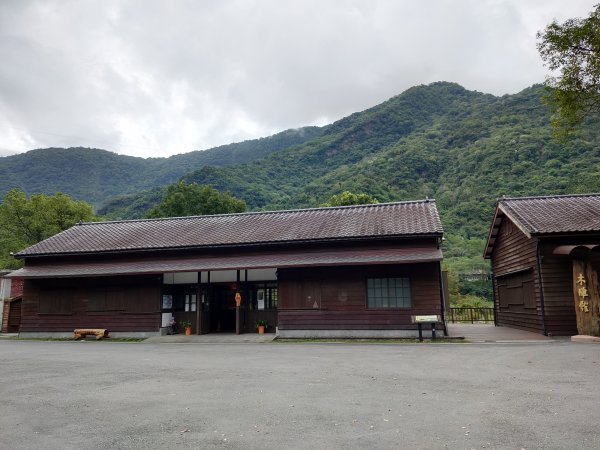 林田山林業文化園區、森坂步道949046