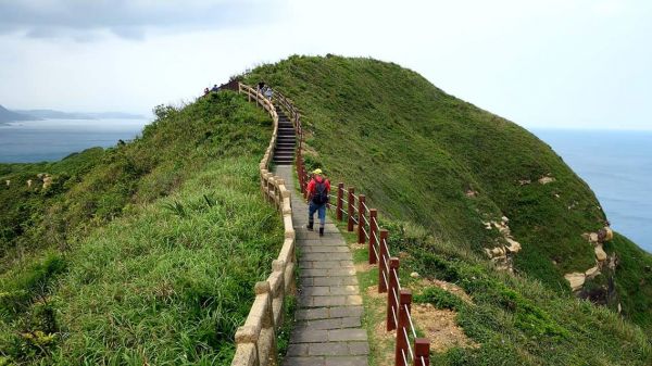 走進稜谷間的秘境…絕美欄杆外的鼻頭角307429