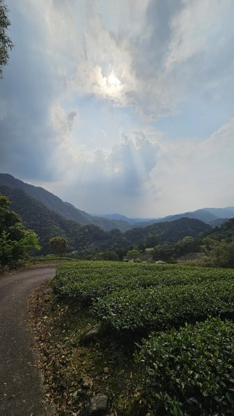 開眼崙步道，坪林老街2483061