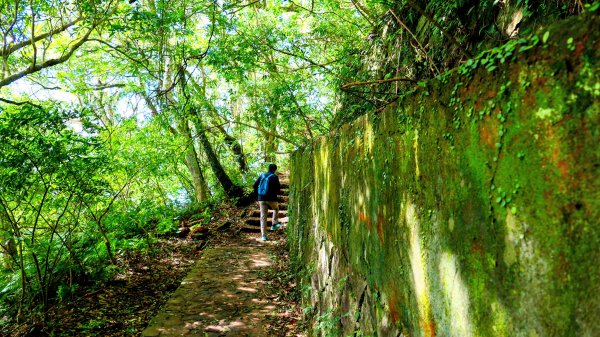 向天蝦不蝦2936805