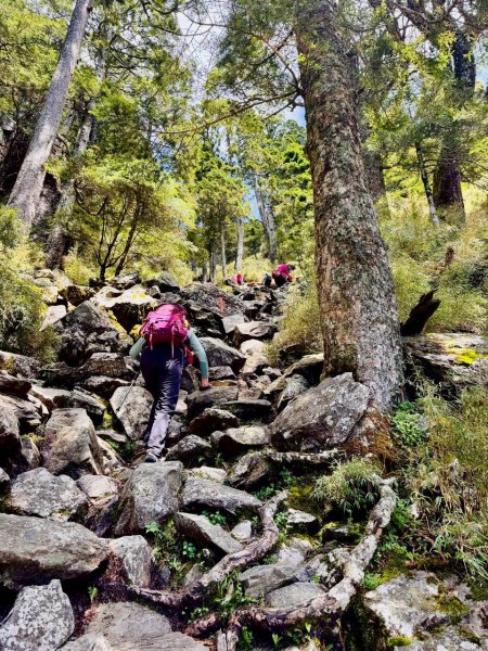 🌈百岳~玉山前峰 ✨FB：熊熊趴爬走 🌈2886337