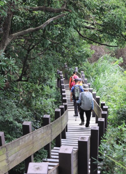 台北天際線泰山段2799089