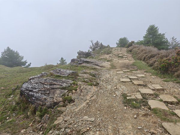 [山海圳_聖山之路_第二段3/4] 2026_0802 麟趾山3109251