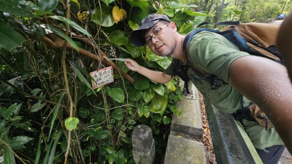 20250625遠望坑口-遠望坑崙-176峰-陸軍路礦864-遠望坑山O型2826159