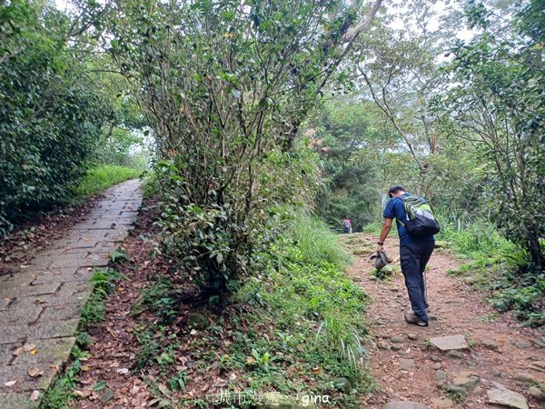 【新竹芎林】台灣百大必訪步道。 飛鳳山、觀日坪古道O繞2564343