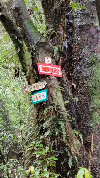 快閃雨中的小觀音山1870007