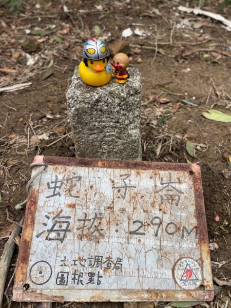 蛇來運轉-蛇子行古道-三爪坑山-蛇子崙山O2706681