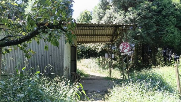 20251004 馬那邦山 - 珠湖 登山口2904898