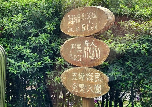 【中級山】有一種美，令人不想回家，新竹鵝公髻山2744649