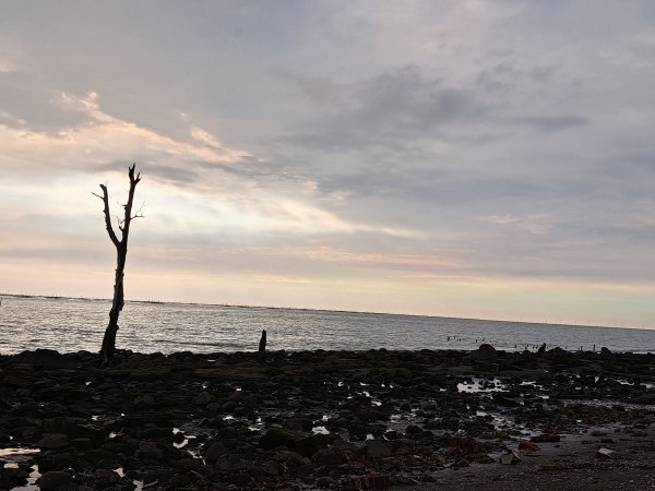 全台最矮一等三角點---布袋前東港山與白水湖壽島202307152219539