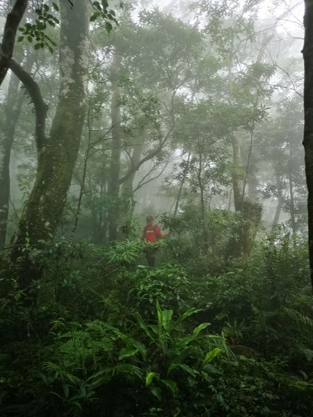 志繼山、東眼山、拉卡山、卡外山O型364477