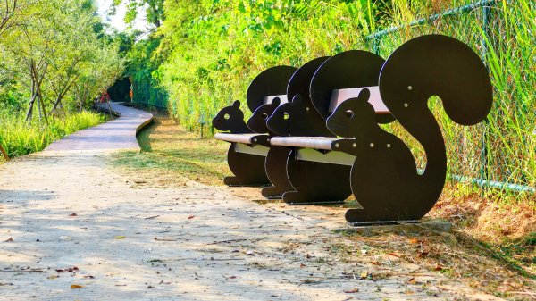 大社觀音山湖2954920