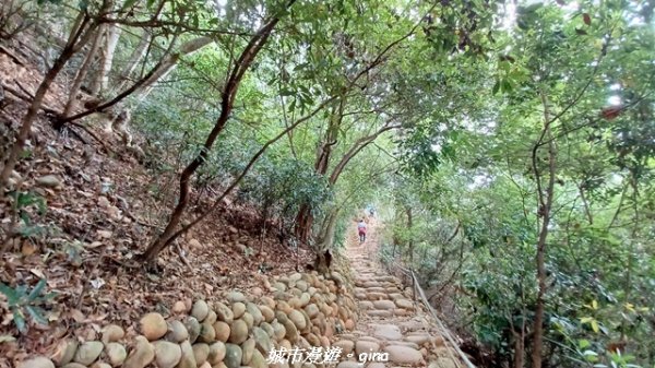 【苗栗三義】台灣百大必訪步道。 火炎山、南鞍古道O繞x火炎山下花海2954160
