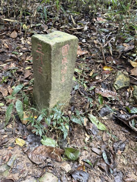 20251227尾寮山登山步道2970514