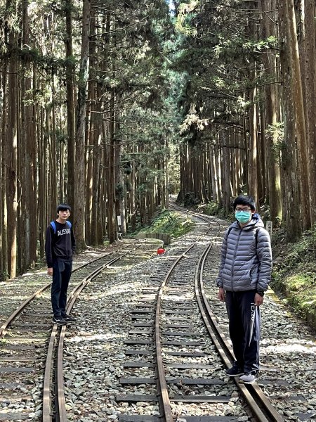 二萬平抱石巨木+二延平步道 初一走春 2023 01 222005155