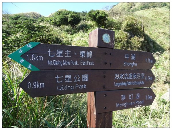 七星山連峰/芒花738688