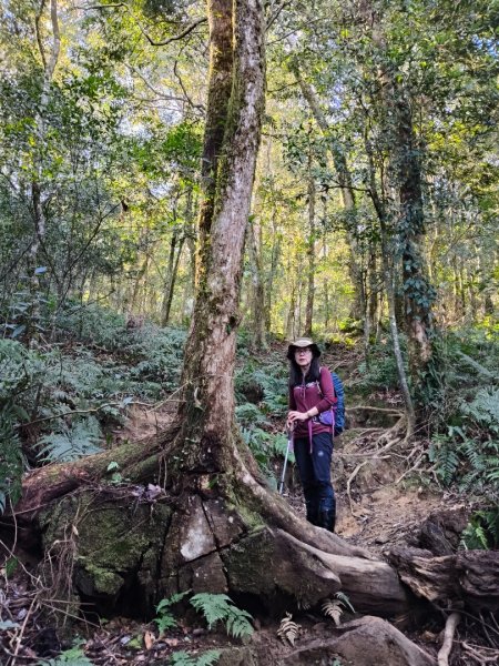 高島縱走202502152713764