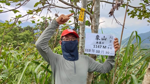 嚼嚼斯古道舊部落探勘象山六連峰二部曲(完美登頂) 阿里山下~里佳~深度探勘歷險記2618865