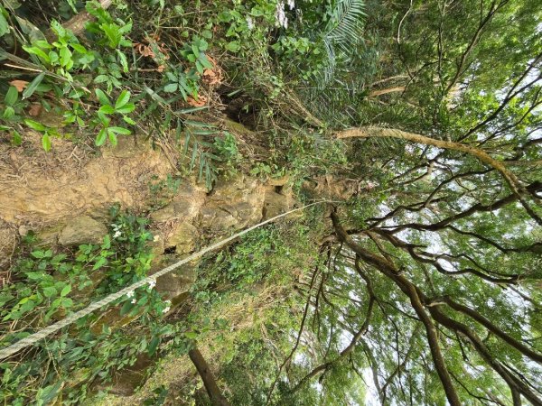 林牛山+聚興山2709933