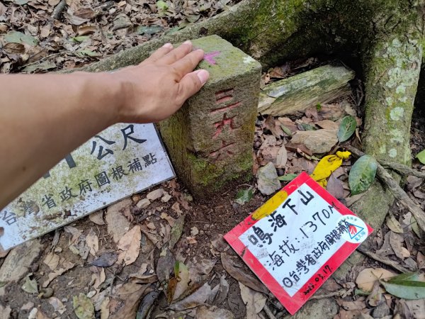 鳴海山、龍頭山步道2157073