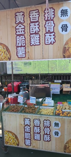 桃園觀新藻礁生態(葉五美宗族清明掃墓)3030516