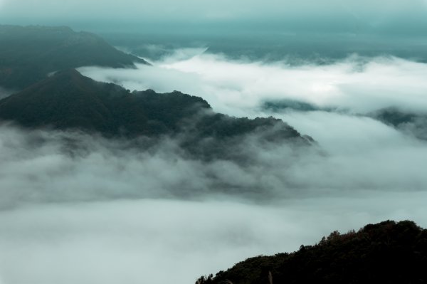 【鵝鳥雙拼】 鵝公髻接鳥嘴山2382720