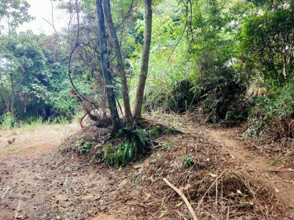 溪州山-石門苗圃登山口1800946