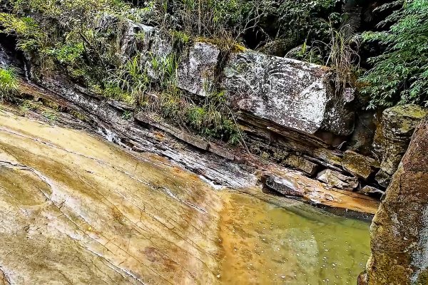 淡蘭古道中路百年山徑~暖東峽谷大環步道2846412