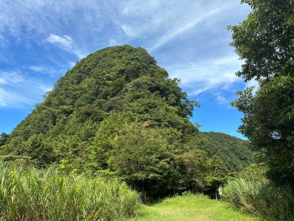 大崙頭山走到大崙尾山2263386