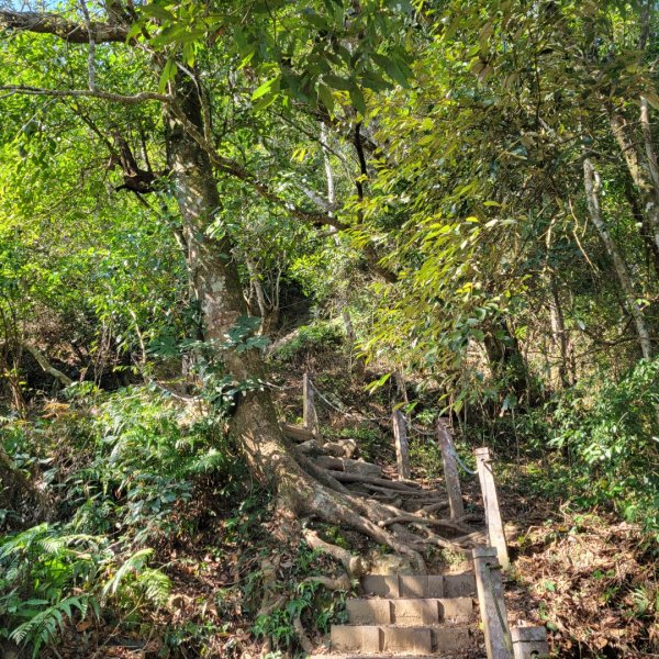馬那邦山、細道邦山（小百岳）2435567