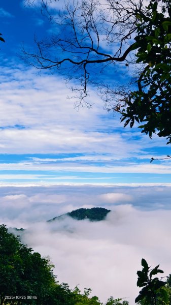 #馬那邦山 #琉璃光 #日出 #雲海 #山羌 #楓葉 10/25 & 11/12924619