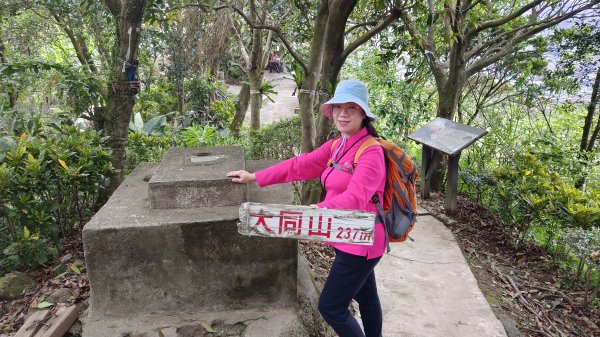 (姨婆趴趴走)第五十集:新北樹林大同山、青龍嶺、大棟山諸峰連走2751562