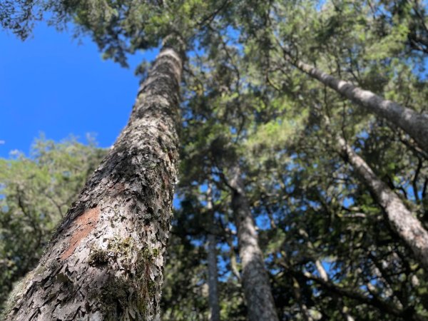 向陽日出，嘉明湖光2866402