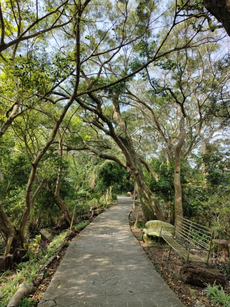 2024.03.17 竹東三山連走2900080