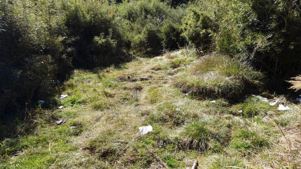 大好天氣的奇萊東稜489032