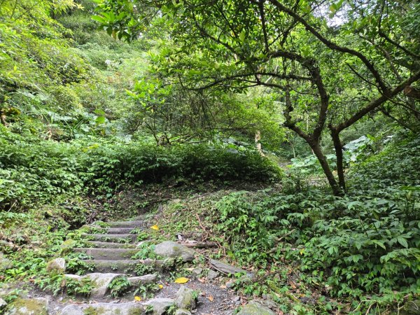 聖母登山步道（抹茶山）、三角崙山（小百岳）2774110