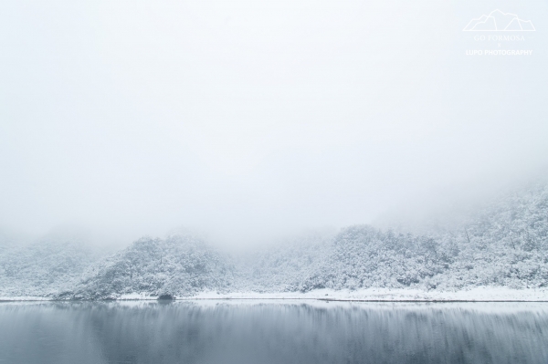 【攝野紀】夢幻般的雪中松蘿湖264536