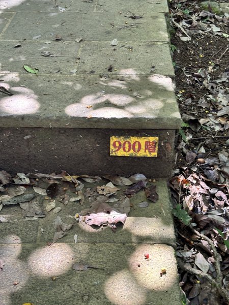 龜山島 401 高地登島2899110